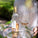 Bottle and two glasses of As ever Rosé wine on a tray with a blurred outdoor background