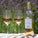 Two glasses and a bottle of As ever Rosé wine on a blanket with lavender in the background