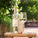 Bottle of As ever Sauvignon Blanc on a wooden stool with a blurred green background