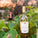 Bottle of As ever Sauvignon Blanc with a label in a vineyard setting